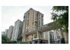 Buy a 4 BHK Apartment at Amrapali Zodiac, Sector 120, Noida