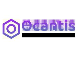 Website Designing Services in Chandigarh