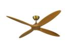 Premium Quality Designer Fan