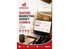 Markethix Safari Marketing Agency Zambia for More Direct Bookings