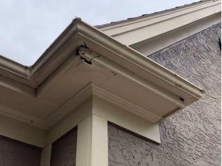 Paint Pro Inc. Restores Damaged Exteriors With Wood Rot Repair in Kansas City