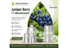 Juniper Berry Oil Manufacturers – Pure, Premium & Bulk Supply