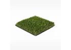 Refresh Your Outdoor Space with Premium Natural Grass Solutions 