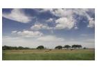 Holistic Ranch Management South Texas Sustainable Ranch Care 