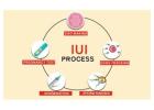 IUI Treatment in Delhi - Dr Rhythm Gupta