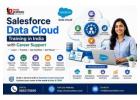 Salesforce Data Cloud Training in India with Career Support
