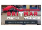 Professional Exterior Painting for Your Home