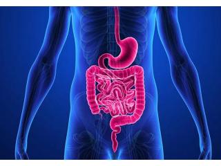 Best Gastroenterologist in Ahmedabad - Dr. Nirav Vakani
