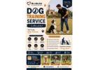 Dog Training Service
