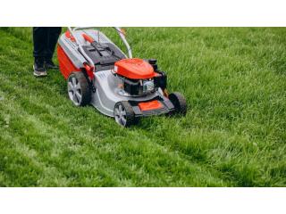 Lawn Mowing in Cambridge – Keep Your Garden Looking Great