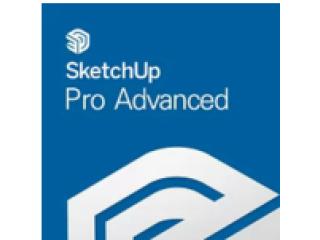 SketchUp Pro Advanced