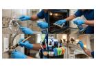 Deep Clean vs Standard Clean North Vancouver | What's the Difference?