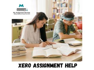 Expert Xero Assignment Support for Better Academic Results