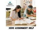Expert Xero Assignment Support for Better Academic Results