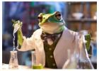 Best Science Party Entertainer | Science Party USA