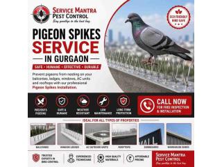 Quality Pigeon Spikes Service in Gurgaon for Cleaner Properties