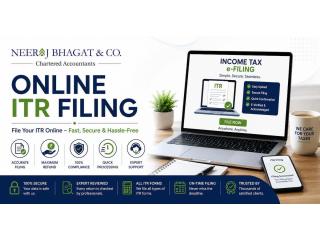Online ITR Filing Assistance for Individuals and Companies