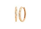 Shop Gold Earring for Women for Summer Season Style