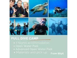 Tenerife Surf Experience Packages | Endlesssummertenerife.com