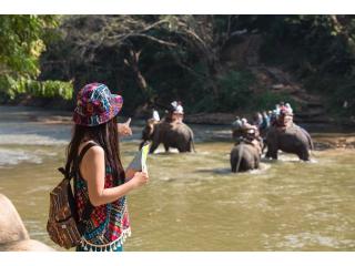 Explore Peru’s Amazon with Tambopata National Reserve Tours