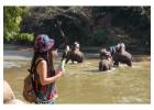 Explore Peru’s Amazon with Tambopata National Reserve Tours