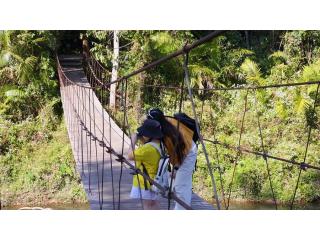 Tambopata Reserve 4 Days Package for an Unforgettable Jungle Tour