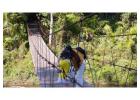 Tambopata Reserve 4 Days Package for an Unforgettable Jungle Tour