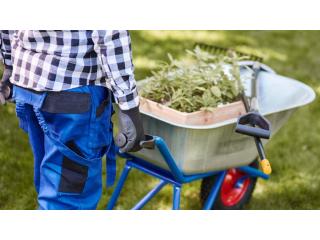 Landscaping Services in Pakuranga – Professional Outdoor Solutions