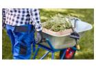 Landscaping Services in Pakuranga – Professional Outdoor Solutions
