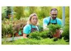 Landscaping Services in Howick – Professional Outdoor Solutions
