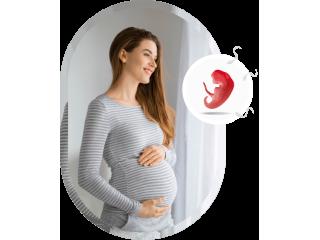 Best Infertility Hospital in Ahmedabad | Sunflower Hospital