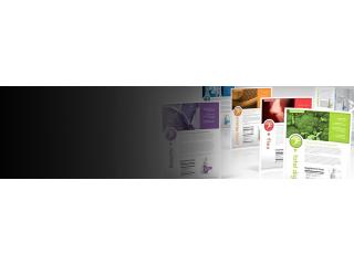 Brochure Design Services in Dublin for Memorable Business Literature