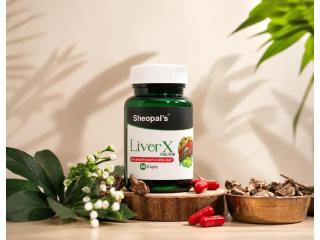 Can Ayurveda Naturally Treat Fatty Liver Disease?