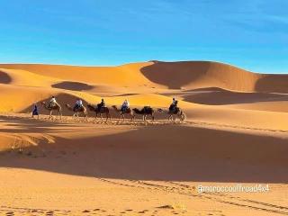 tour nel deserto del sahara da marrakech