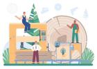 Why Do Builders Recommend Timber Pest Inspections Before Renovation?