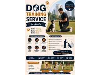 Dog Training Service