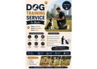 Dog Training Service
