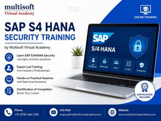 SAP S4 HANA Security Training by Multisoft Virtual Academy
