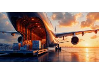 Global Air Cargo Solutions for Sheffield Businesses