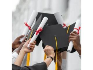 Best BBA Course in Chhattisgarh