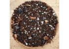 Aroid Mix for Healthy and Fast-Growing Indoor Plants