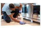 Hornets Nest Removal for Calgary Properties