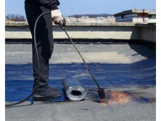 Stop Leaks Before They Start with Expert Shower Waterproofing