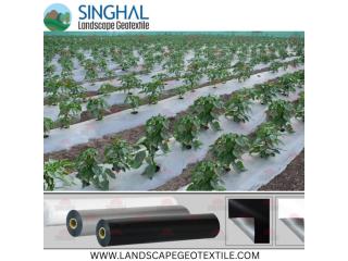 Biodegradable Eco Friendly Mulch Film Field Sheet