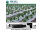 Biodegradable Eco Friendly Mulch Film Field Sheet