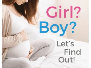 Trusted Gender Reveal DNA Test at LABS TO GO