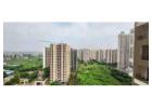 Amrapali Golf Homes – Explore 2/3 BHK Apartments in Noida Extension