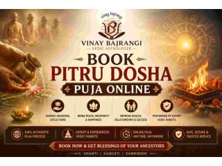 Book Pitru Dosha Puja Online With Dr. Vinay Bajrangi Today