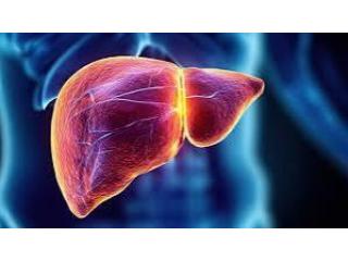 Trusted Chronic Liver Specialist in Ludhiana