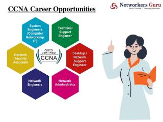 Best institute for Cisco CCNA, CCNP & CCIE courses in Delhi, Gurgaon, India